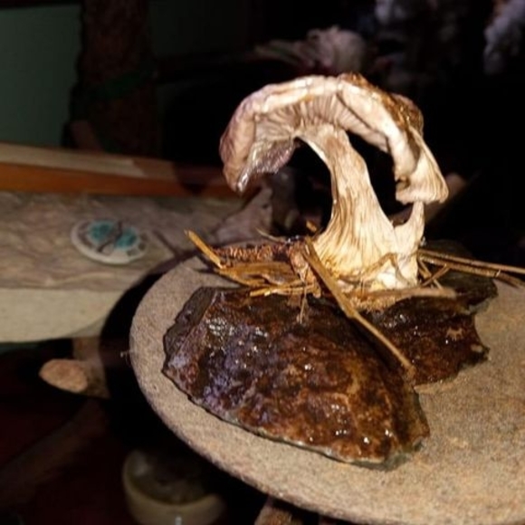 Meet your Posher, Troy - Picture 1 of 1